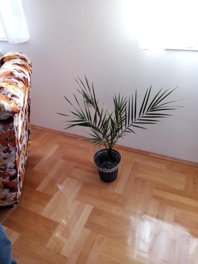Apartman Maca Pirot Esterno foto