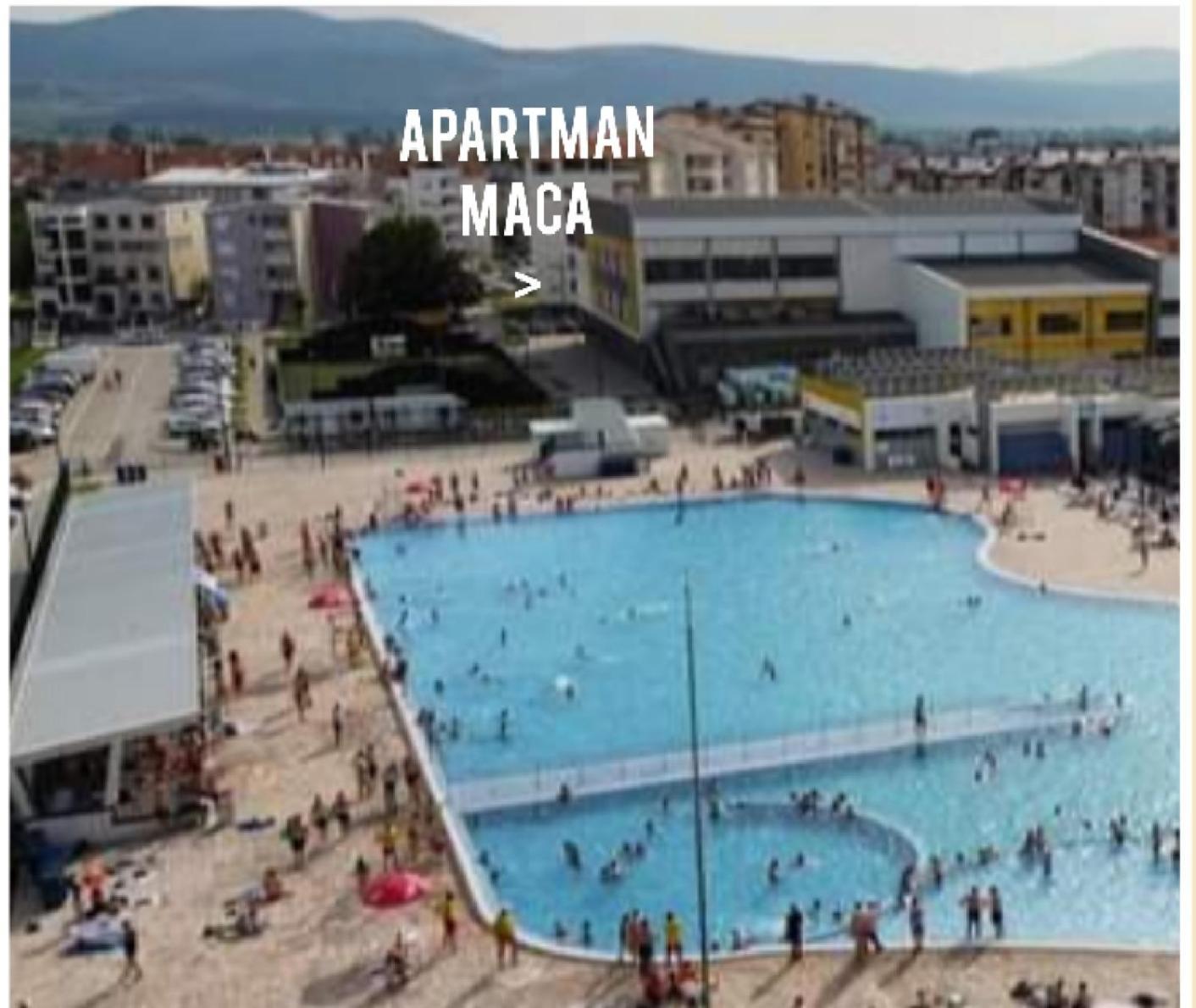 Apartman Maca Pirot Esterno foto