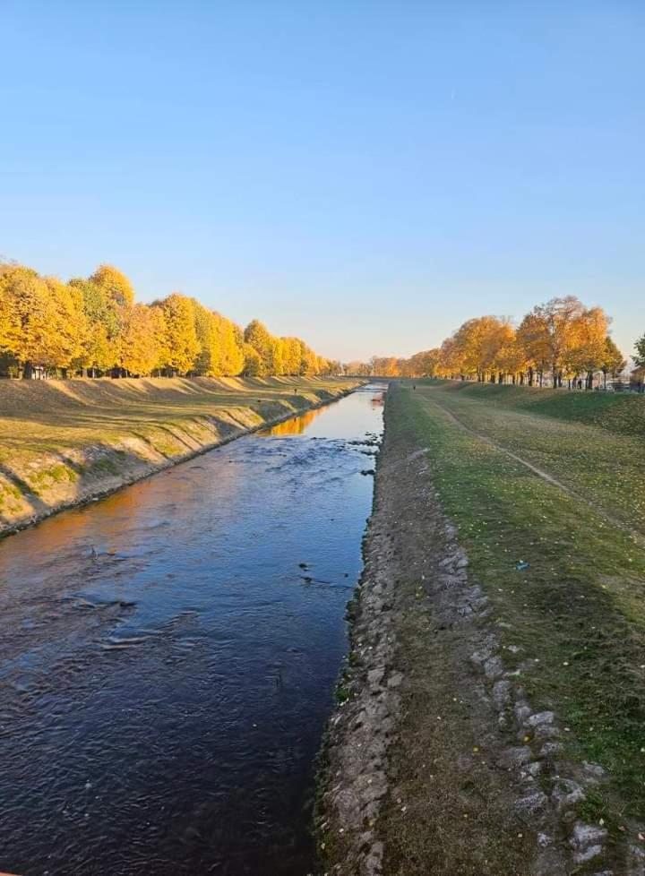 Apartman Maca Pirot Esterno foto